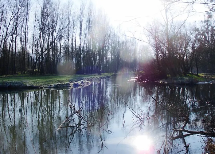 Le Nid De Salsa Apartamento Walferdange