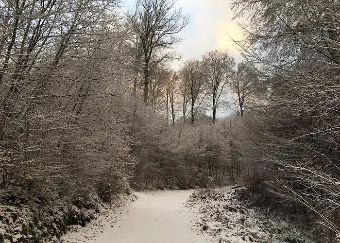 Le Nid De Salsa Walferdange