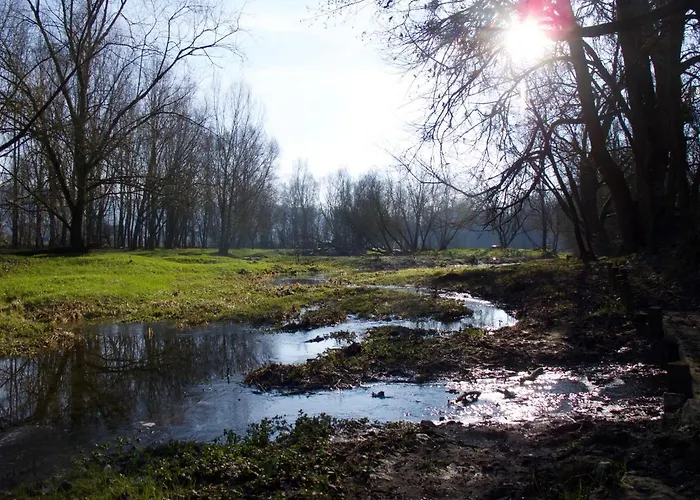 Le Nid De Salsa Walferdange