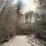 Le Nid De Salsa Walferdange