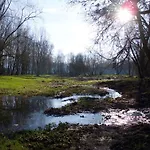 Le Nid De Salsa Walferdange