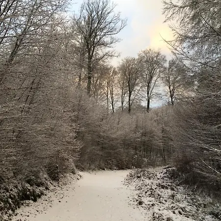 Le Nid De Salsa Walferdange