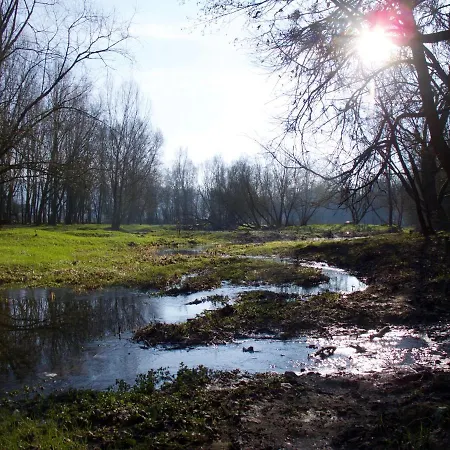 Le Nid De Salsa Walferdange