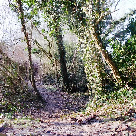 Appartamento Le Nid De Salsa *