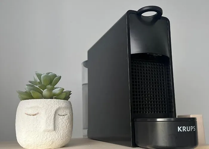 Le Nid De Salsa Apartment