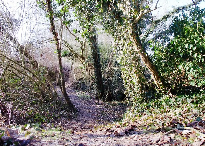 شقة Le Nid De Salsa *